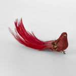 Burle Clip on Bird Red (Set of 6) - Pure Apotheca