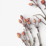 Burnished Berries Branch 85cm - Pure Apotheca
