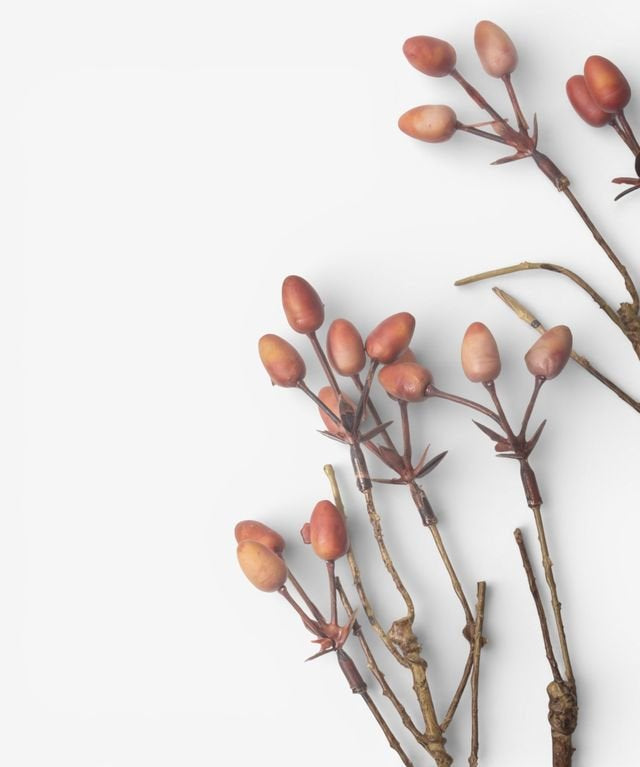 Burnished Berries Branch 85cm - Pure Apotheca