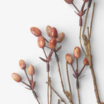 Burnished Berries Branch 85cm - Pure Apotheca