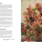 Bush Flowers - Pure Apotheca