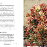 Bush Flowers - Pure Apotheca