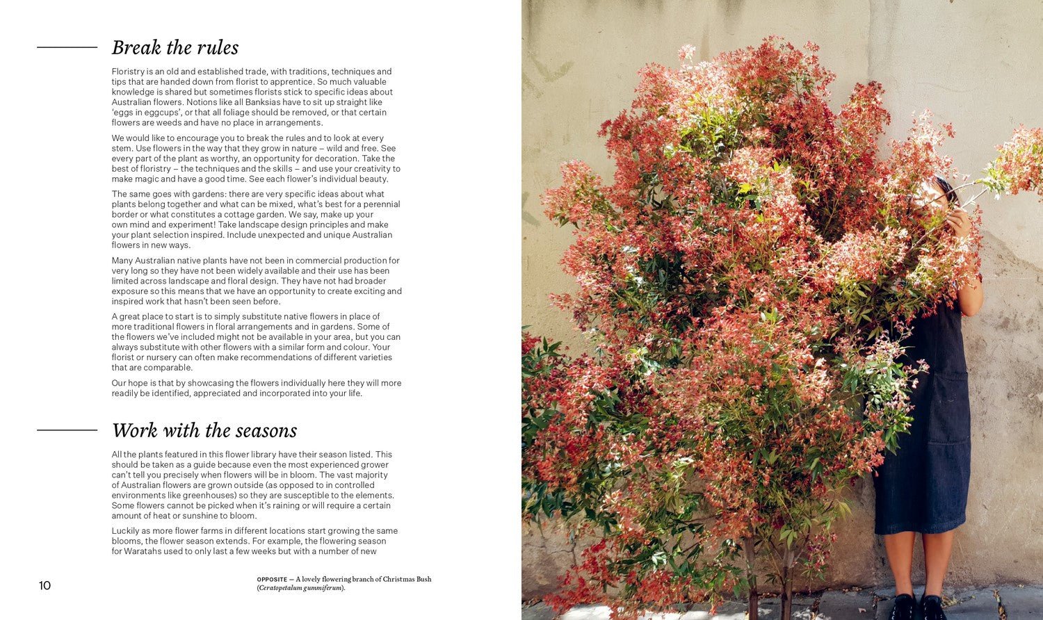 Bush Flowers - Pure Apotheca
