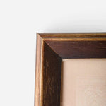Butterfly Study Wall Art - Pure Apotheca