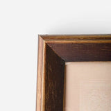 Butterfly Study Wall Art - Pure Apotheca