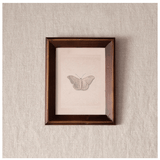 Butterfly Study Wall Art - Pure Apotheca
