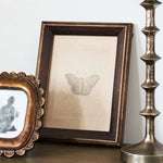 Butterfly Study Wall Art - Pure Apotheca
