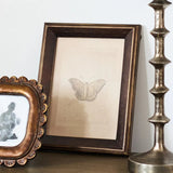 Butterfly Study Wall Art - Pure Apotheca