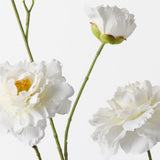 Camellia Branch Cream 110cm - Pure Apotheca