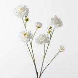 Camellia Branch Cream 110cm - Pure Apotheca