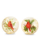 Cardinal on Pine Branch Light Up Glass Ball 16cm - Pure Apotheca