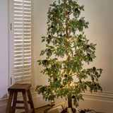 Cedar Evergreen Christmas Tree 140cm - Pure Apotheca