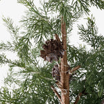 Cedar Evergreen Christmas Tree 140cm - Pure Apotheca