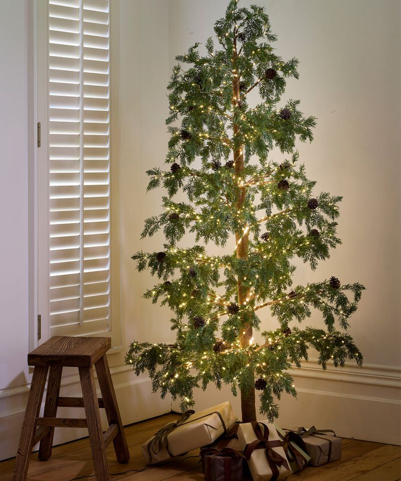 Cedar Evergreen Christmas Tree 180cm - Pure Apotheca