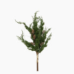 Cedar & Pinecone Branch with Lights 60cm - Pure Apotheca