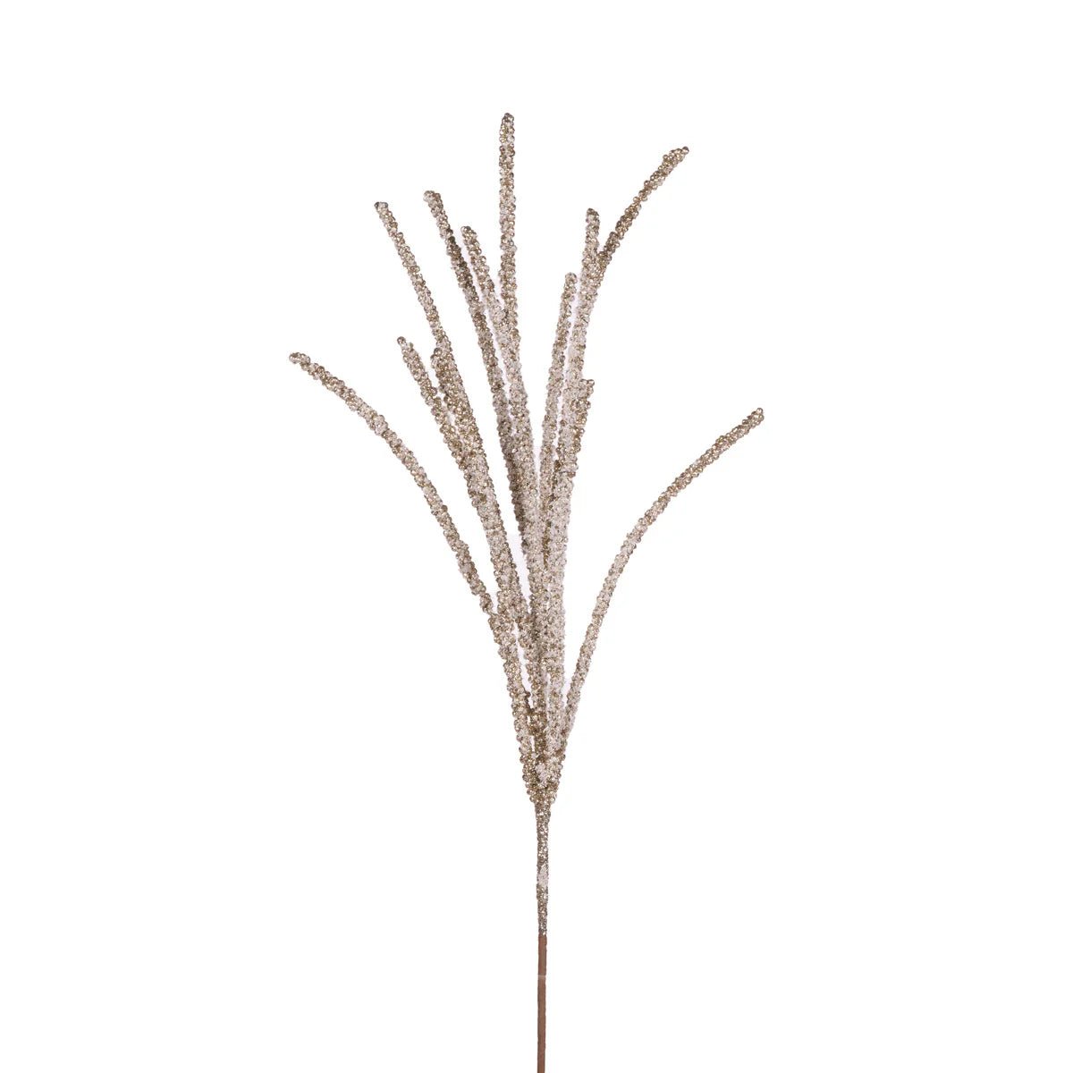 CHAMPAGNE FLOCKED SPRAY - Pure Apotheca
