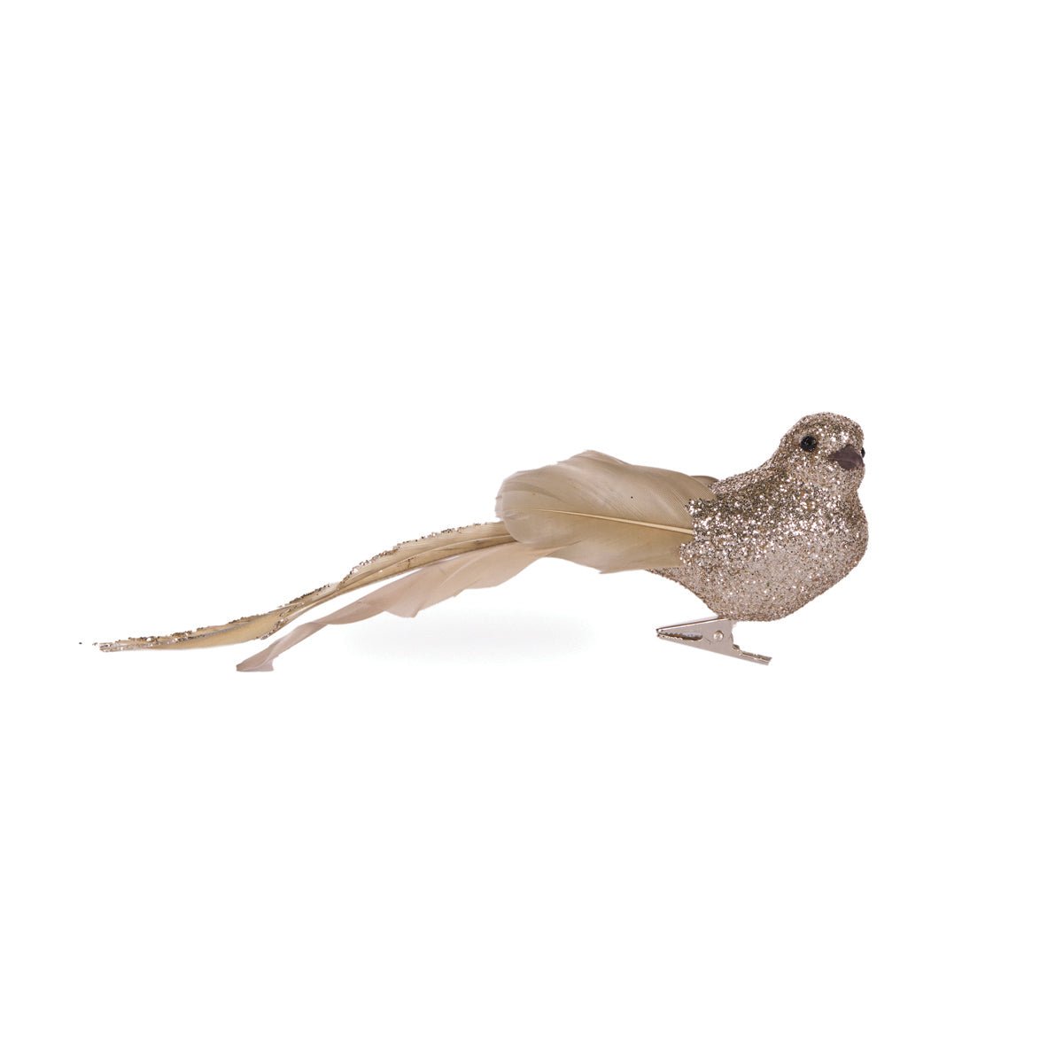 CHAMPAGNE LONG TAILED FEATHER BIRD - Pure Apotheca