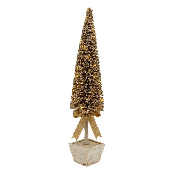 CHAMPAGNE TREE IN WHITE POT LRG - Pure Apotheca