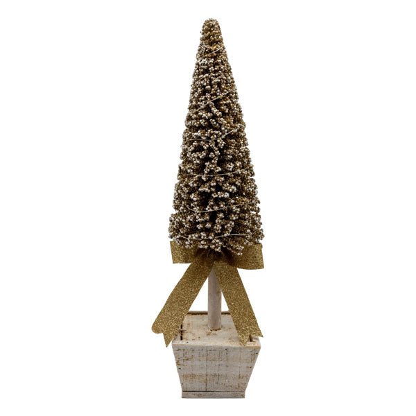 CHAMPAGNE TREE IN WHITE POT MED - Pure Apotheca