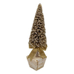 CHAMPAGNE TREE IN WHITE POT SMALL - Pure Apotheca