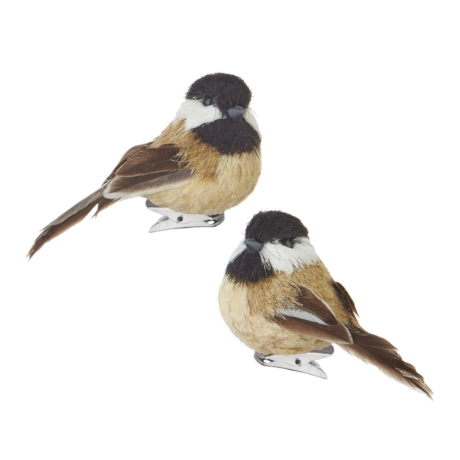 Chickadee Feathered Birds Clip On 10cm - Pure Apotheca