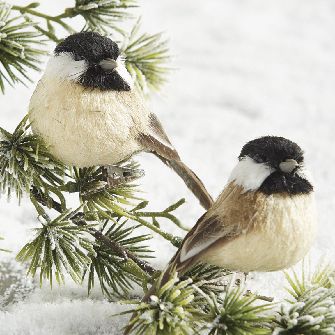 Chickadee Feathered Birds Clip On 10cm - Pure Apotheca