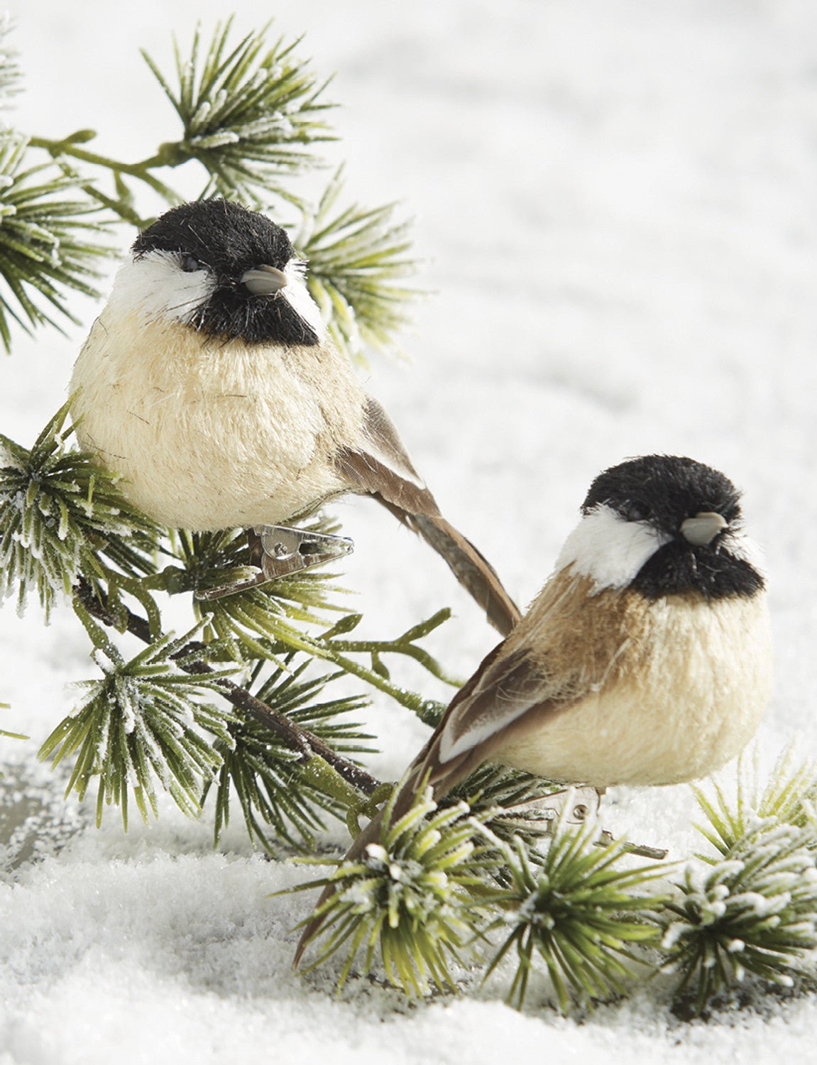 Chickadee Feathered Birds Clip On 10cm - Pure Apotheca