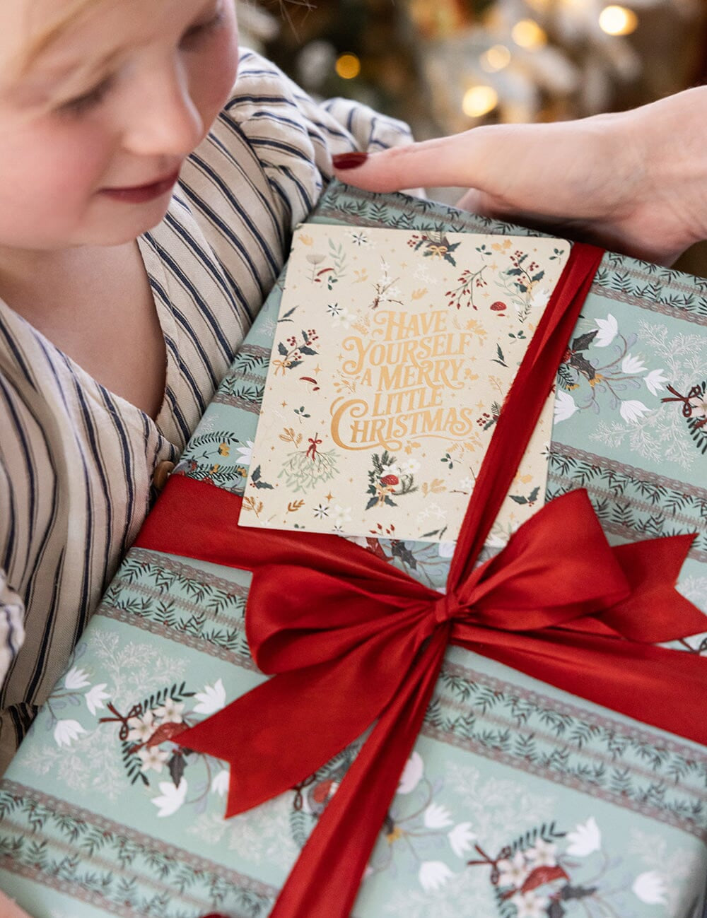 Christmas Songbirds Gift Wrap 3m - Pure Apotheca