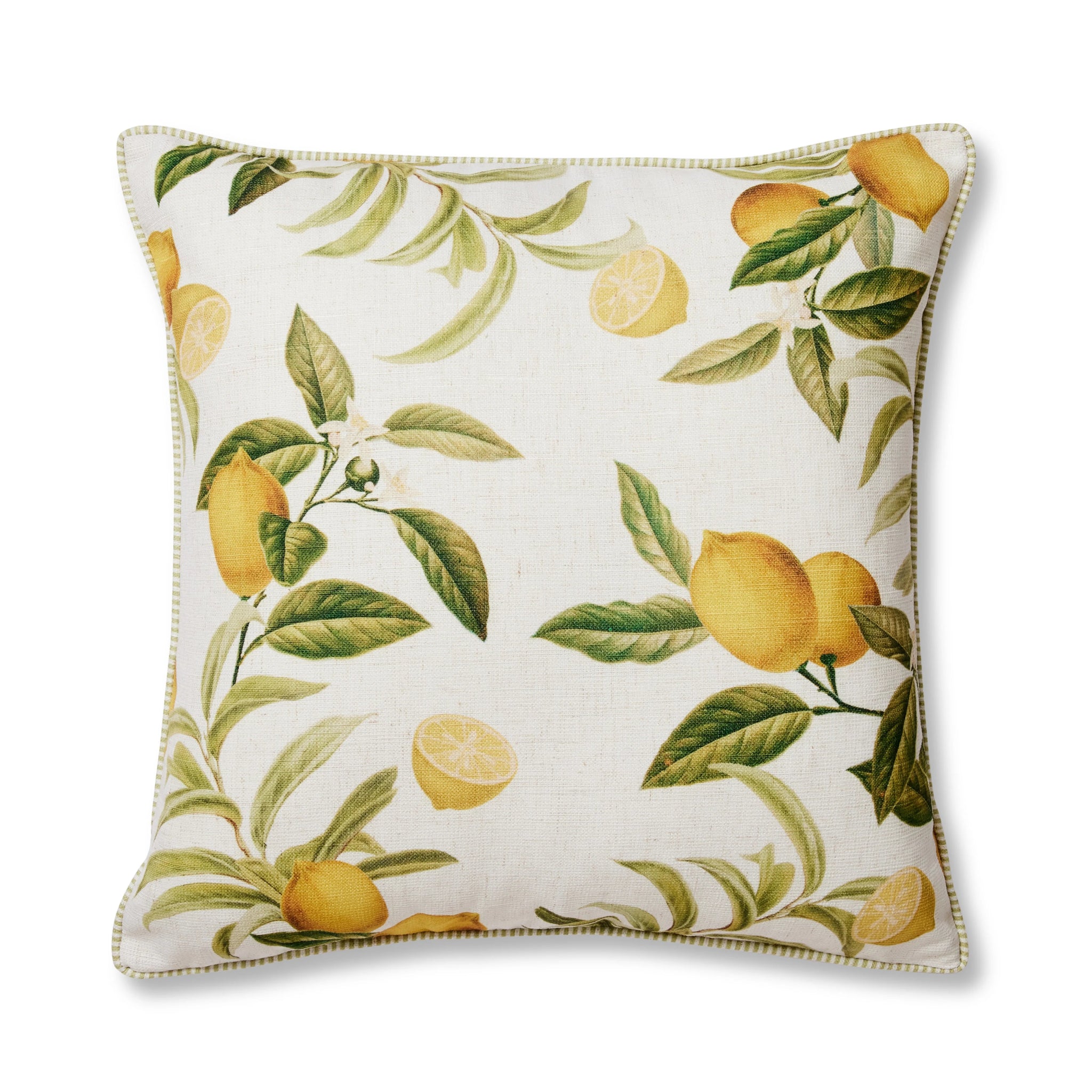 Citrus Cushion 50cm - Pure Apotheca