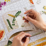 Cockatiels & Ruby Grapefruit 1000pc Puzzle - Pure Apotheca