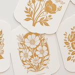 Congratulations Scallop Card - Pure Apotheca
