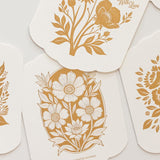 Congratulations Scallop Card - Pure Apotheca