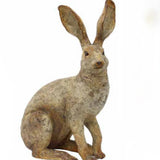 Country Hare Ears Up - Pure Apotheca