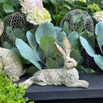 Country Hare Resting - Pure Apotheca