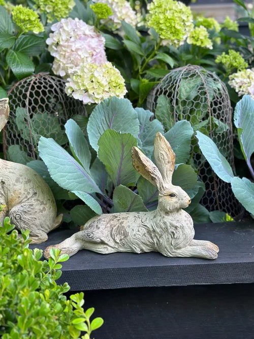 Country Hare Resting - Pure Apotheca