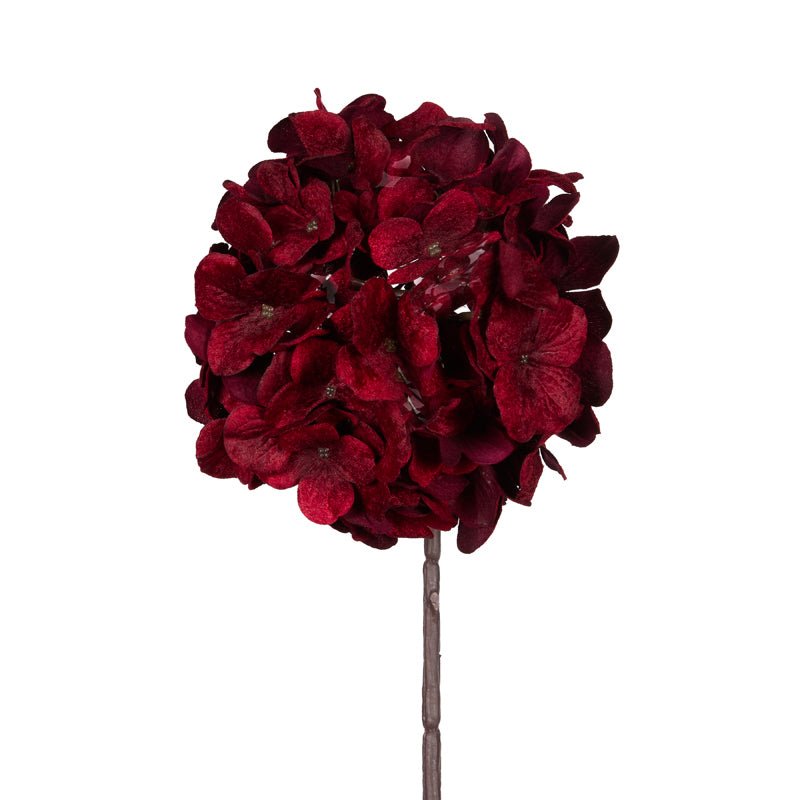 DEEP RED HYDRANGEA STEM - Pure Apotheca