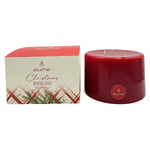 Elume Christmas Winter Spice Pillar Candle 6x4” - Pure Apotheca