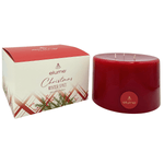 Elume Christmas Winter Spice Pillar Candle 6x4” - Pure Apotheca