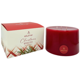Elume Christmas Winter Spice Pillar Candle 6x4”
