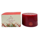 Elume Christmas Winter Spice Pillar Candle 6x4”