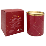 Elume Christmas Winter Spice Soy Candle 400g - Pure Apotheca