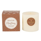 Elume Pillar Candle Vanilla Nutmeg 4x4” - Pure Apotheca