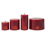 Elume Christmas Winter Spice Pillar Candle 6x4”