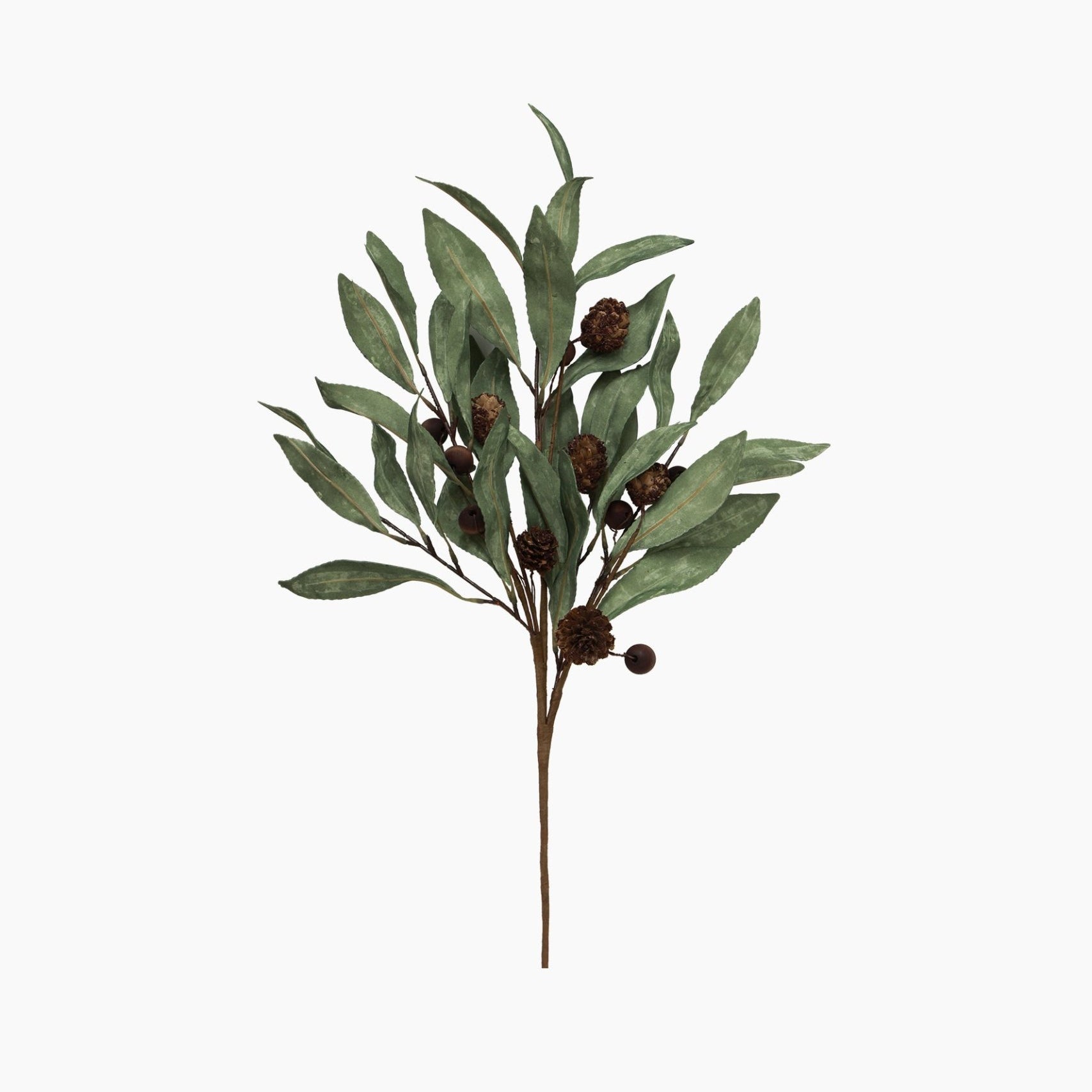 Eucalyptus & Brown Berry Wood Branch - Pure Apotheca