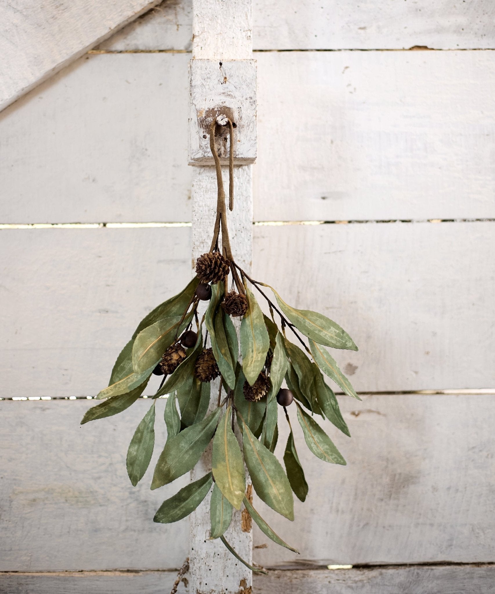 Eucalyptus & Brown Berry Wood Branch - Pure Apotheca