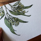 Eucalyptus Card Blank - Pure Apotheca