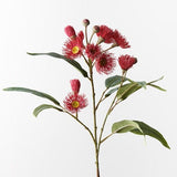 Eucalyptus Flowering Spray Red 76cm - Pure Apotheca