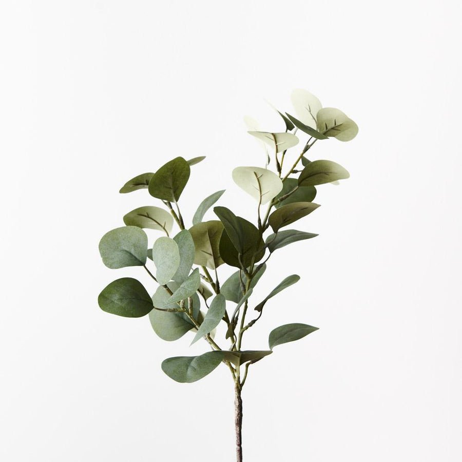 Eucalyptus Spray Green Grey 40cm - Pure Apotheca