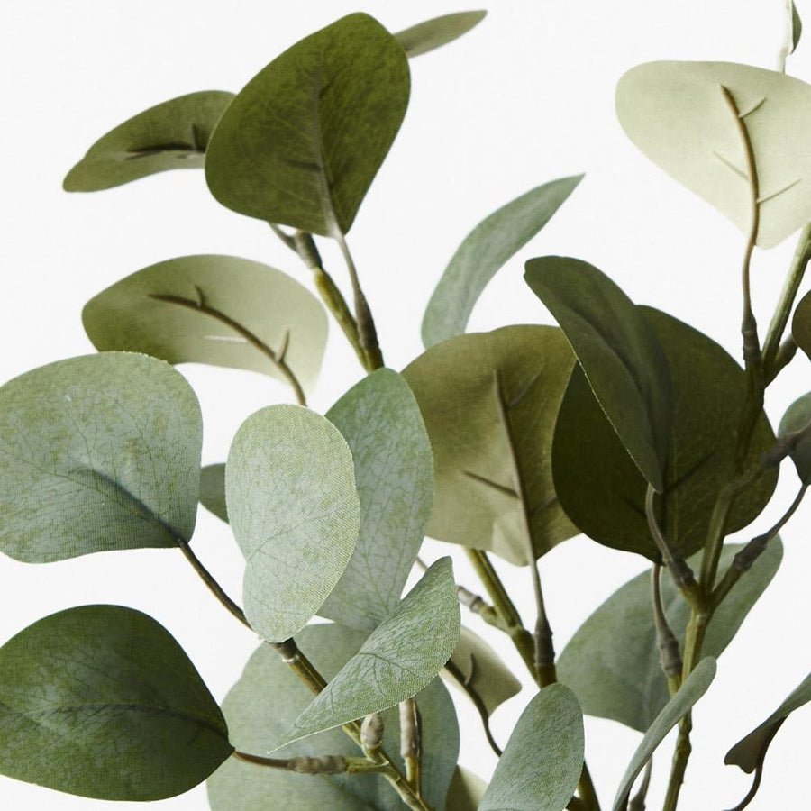 Eucalyptus Spray Green Grey 40cm - Pure Apotheca