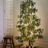 Cedar Evergreen Christmas Tree 180cm